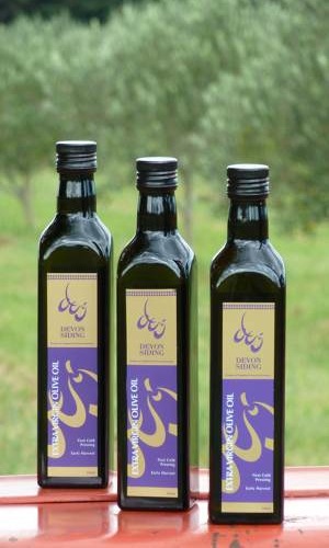 Three 500ml bottles of Devon Siding extra virgin olive oil